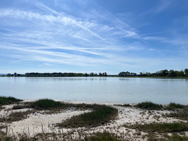 Neusiedler See