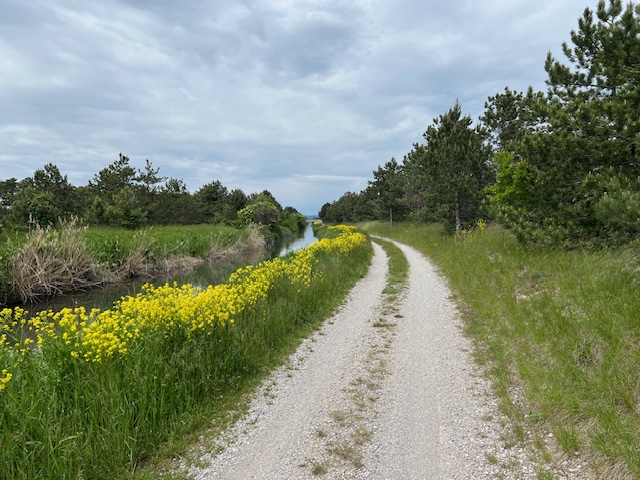 Thermenradweg